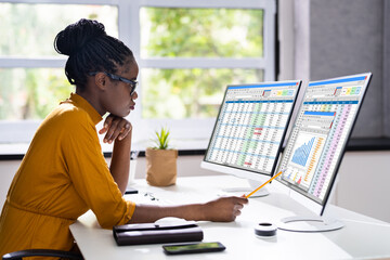 Poster - Computer Spreadsheet Data Analyst Woman