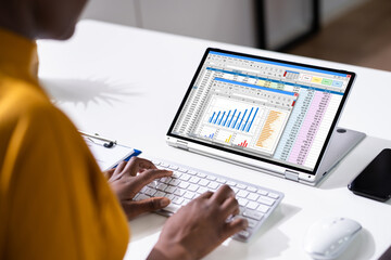 Poster - woman working with electronic spreadsheet reports