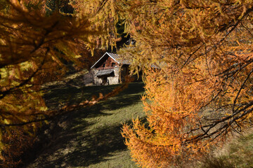 Poster - maso baita chalet autunno 