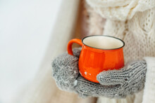 Hands In Mittens Hold An Orange Cup. Snowy Background In Winter 