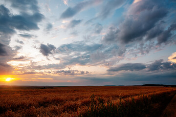 Wall Mural - impressive colorful sunset with dark cloudy sky.