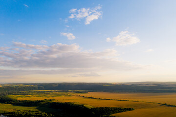 Canvas Print - Fantastic summer view of the field with white fluffy clouds.