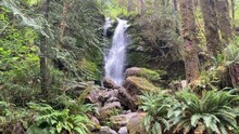 Merriman Falls In The Lake Quinault Area Of Washington State, In Olympic National Park
