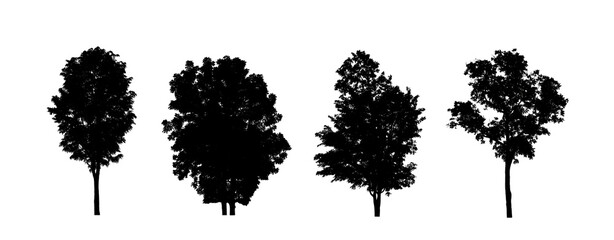 Poster - Set of trees silhouette for brush on white background