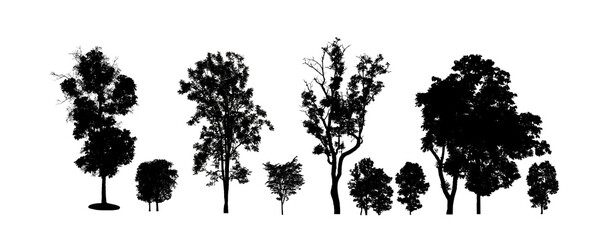 Poster - Set of trees silhouette for brush on white background