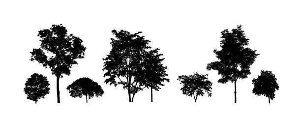Poster - Set of trees silhouette for brush on white background