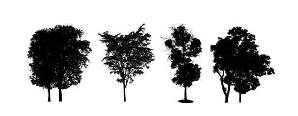 Poster - Set of trees silhouette for brush on white background