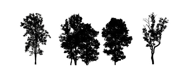 Poster - Set of trees silhouette for brush on white background