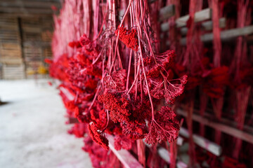 Sticker - Bunch of dried red yarrow flowers hanging upside down on wooden rack