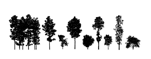 Poster - Set of trees silhouette for brush on white background
