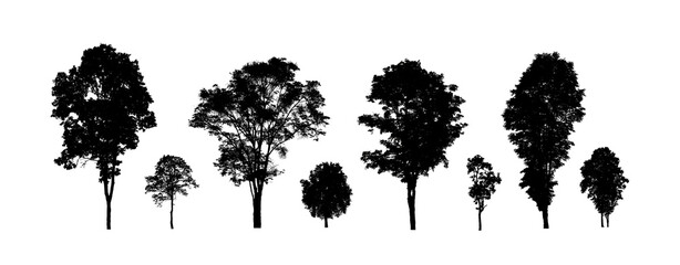Poster - Set of trees silhouette for brush on white background