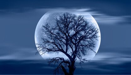 Lone dead tree with super full blue Moon, amazing clouds in the background 