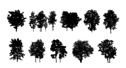 Poster - Set of trees silhouette for brush on white background