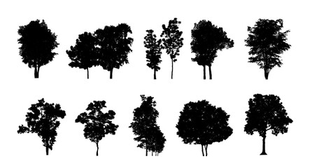 Poster - Set of trees silhouette for brush on white background