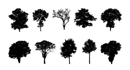 Poster - Set of trees silhouette for brush on white background