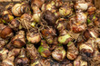 © HollandPhotostock.nl - Sale of flower bulbs at the flower market in Amsterdam, Noord-Holland province, The Netherlands