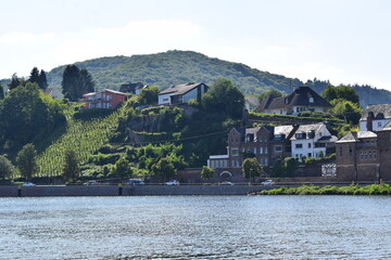 Poster - Uferpromenade von Alf an der Mosel bei den Weinkellereien