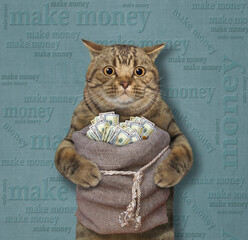 Wall Mural - A beige cat holds a juit sack of dollars. Making money. Blue background.