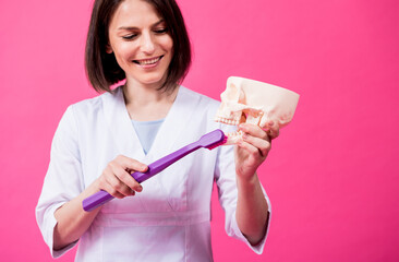 Wall Mural - Woman dentist brushing teeth of an artificial skull using a large toothbrush