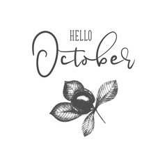 Hello October vector chestnut template hand drawing, design for banner, greeting card or print. Vector illustration