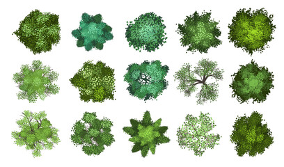 Vector collection. Realistic trees. Top view. Different plants and trees vector set for architectural or landscape design. (View from above) Nature green spaces.