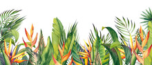 Horizontal Border With Tropical Heliconia, Strelitzia Flowers And Palm Leaves. Bird Of Paradise Flowers. Watercolor Illustration On White Background.