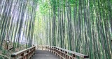 Fototapeta Dziecięca - bamboo bridge in the forest