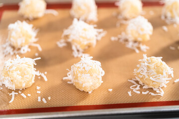 Coconut cookies