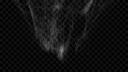 Wall Mural - Realistic spider web. Hanging cobweb for halloween design. Vector illustration.
