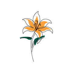 The lily flower is drawn with a single line. Linear art. Flower continuous line drawing. Isolated on a white background with colored abstract figures. Vector.