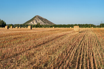 Canvas Print - Mowed field and straw bales laid one after the other after harvest against the cloudy sky