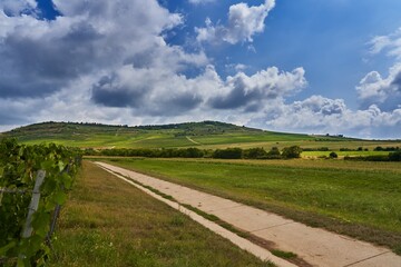 Tokaj, Hungary. Landscape of hungarian wine region, Unesco World Heritage.