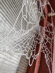 Poster - Vertical shot of a spider web in a room corner