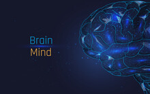 Brain. Wireframe Digital Human Brain. IQ Testing Neural Network. Artificial Intelligence Virtual Emulation Science Technology Concept. Brainstorm Idea. 3D Low Poly ,vector Illustration. Plexus
