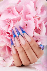 Wall Mural - Hand with long artificial blue french manicured nails and pink Hortensia flower