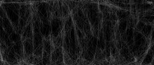 Realistic Spider Web Background Texture. Hanging Cobweb For Halloween Design.