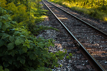 Railroad Tracks At A Train Station In Saint Mary's, Ontario, Canada. Early Morning, Quiet, No People, Waiting For The Train, Iron Railway, Golden Hour, Dawn, Leading Lines.