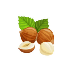 Sticker - Hazelnut in hard shell with green leaves isolated cartoon superfood icon. Vector hazel-nut, vegetarian food dessert. Cobnut or filbert nut with leafy bud, peeled snack, edible forest nuts