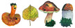 Watercolor set forest mushrooms and leaves. Colorful edible boletus, porcini, chanterelle. Hand drawn autumn harvest of mushrooms. Colored botanical sketch. Yellow leaf with petiole and fungus.