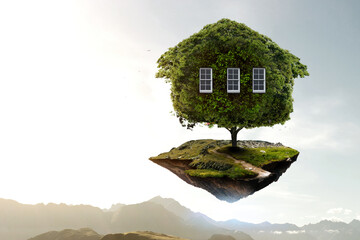 Wall Mural - Little Eco House on the green grass