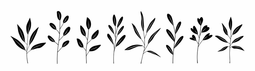 Wall Mural - Botanical set of black silhouette twigs with leaves of different shapes. Hand-drawn vector illustration isolated on white background. Perfect for cards, invitations, decorations.