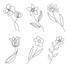 Wall Mural - Flowers in line style. Modern line art for poster and banner
