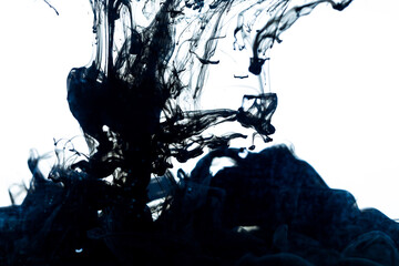 Poster - black ink dissolving in water. isolated white background.