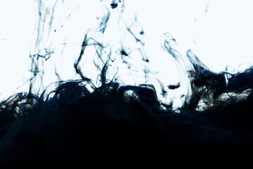 Poster - black ink dissolving in water. isolated white background.