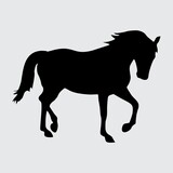 Fototapeta Konie - Horse Silhouette, Horse Isolated On White Background