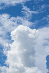 Canvas Print - blue sky with white clouds