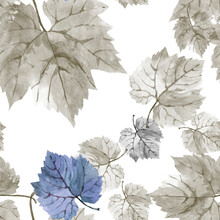 Grey And Blue Autumn Grape Leaves Watercolor On White Background Seamless Pattern For All Prints.