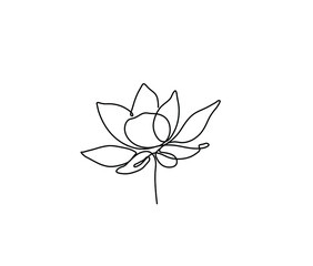 Wall Mural - Vector isolated lilly flower one line drawing. Line art blossom black line outline drawing sketch. 