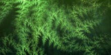 Abstract Green Fractal Art Background, Suggestive Of Ferns.