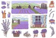 Set of lavender flowers, bouquets, rustic provence landscapes in realistic